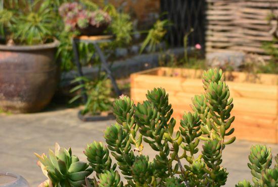 Гостиница Hillside Homestay Yangshuo (Shili Gallery Yulonghe Branch)