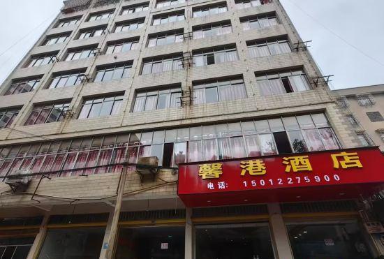 Гостиница Zhenxiong Xingang Hotel