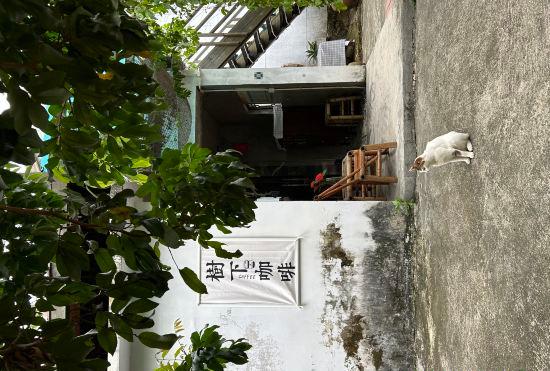Гостиница Shenzhen Dapeng Nan'ao One Two Three B&B