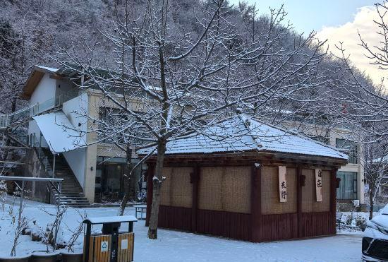 Hotel Walnut Tree Soup Spring Homestay