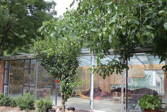 Гостиница Walnut Tree Soup Spring Homestay